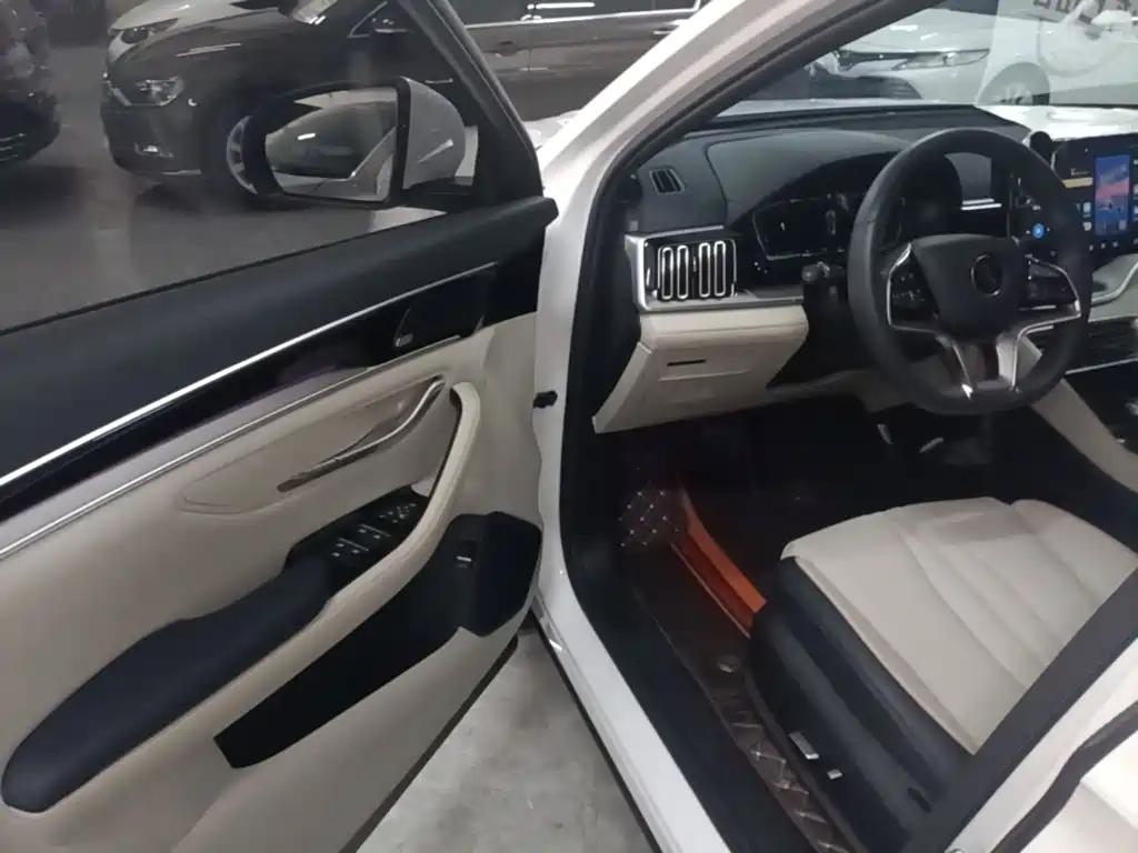BYD Song PLUS New Energy 2022 — фото 16