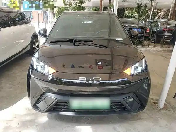 BYD Seagull 2024