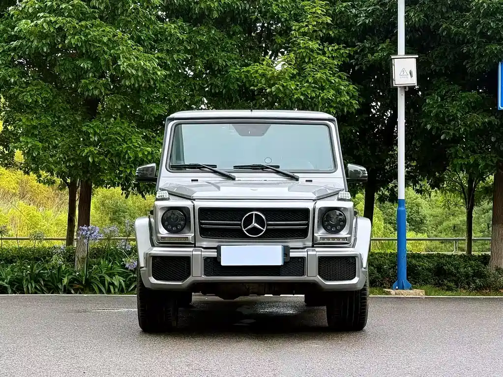 Mercedes-Benz G-Class AMG 2016 — фото 3