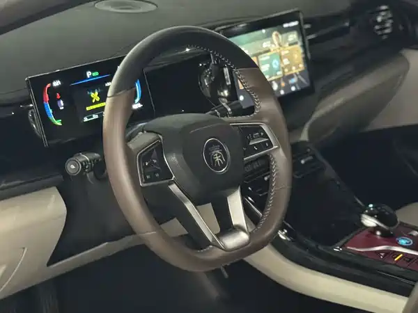 BYD Qin PLUS 2024