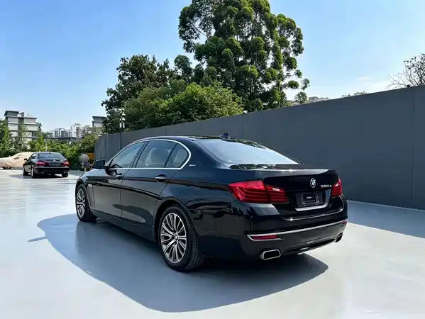 BMW 5 Series New Energy 2017