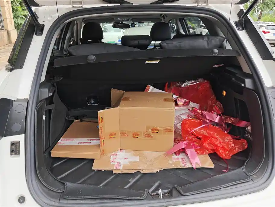 Haval H6 Coupe 2016