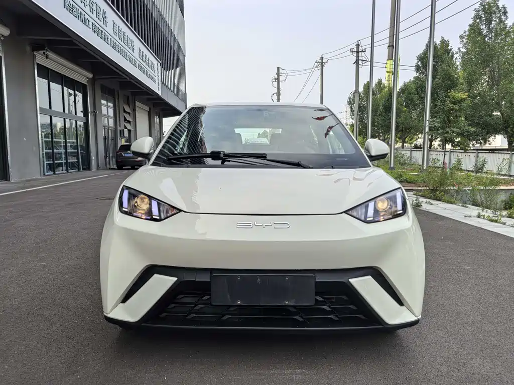 BYD Seagull 2024