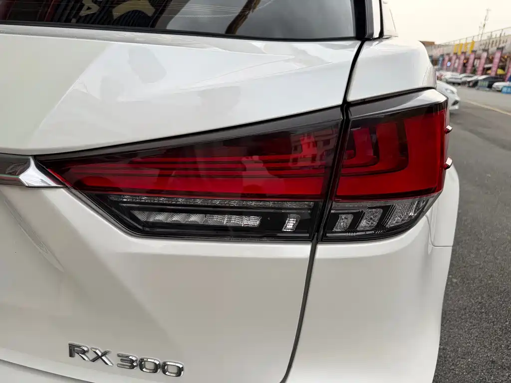 Lexus RX 2020 — фото 11