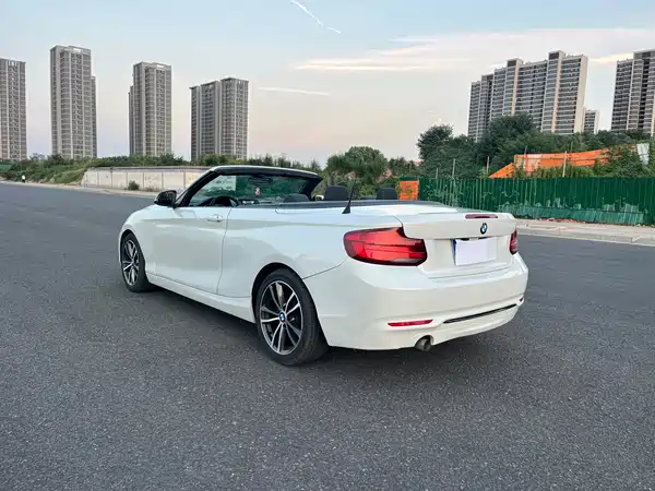BMW 2 Series 2019