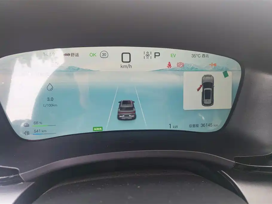 BYD PLUS New Energy 2025 — фото 14