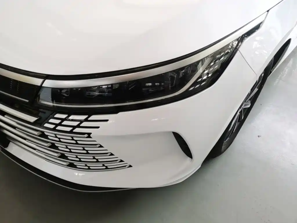 BYD Destroyer 05 2024 — фото 24