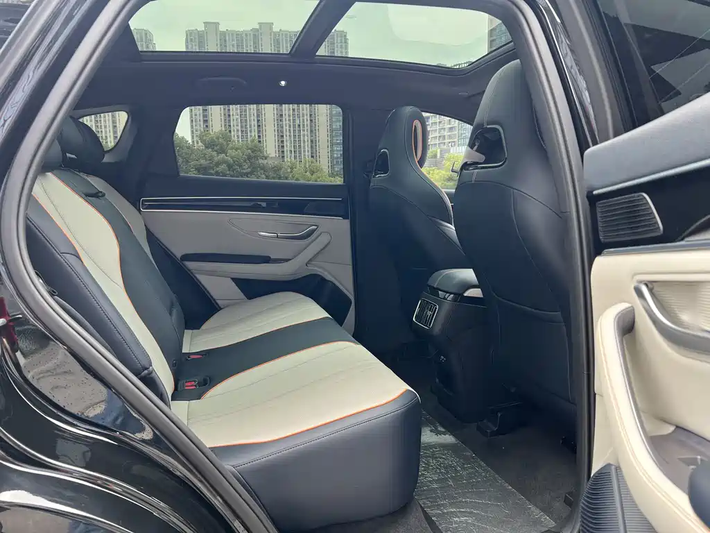 BYD PLUS New Energy 2023 — фото 12
