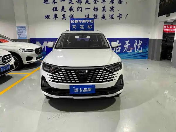 Jetta VS7 2024
