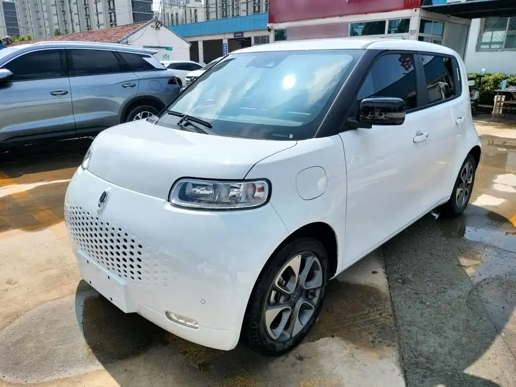 Ora White Cat 2020