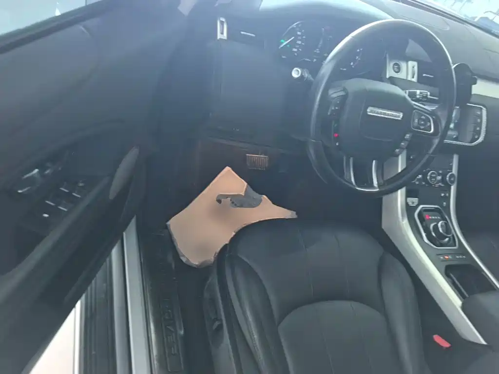 Land Rover Range Rover Evoque 2018 — фото 16