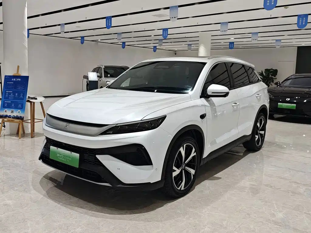 BYD Song Pro New Energy 2025 — фото 1