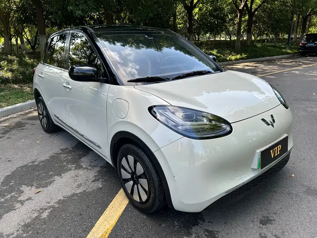 Wuling Bingo 2024