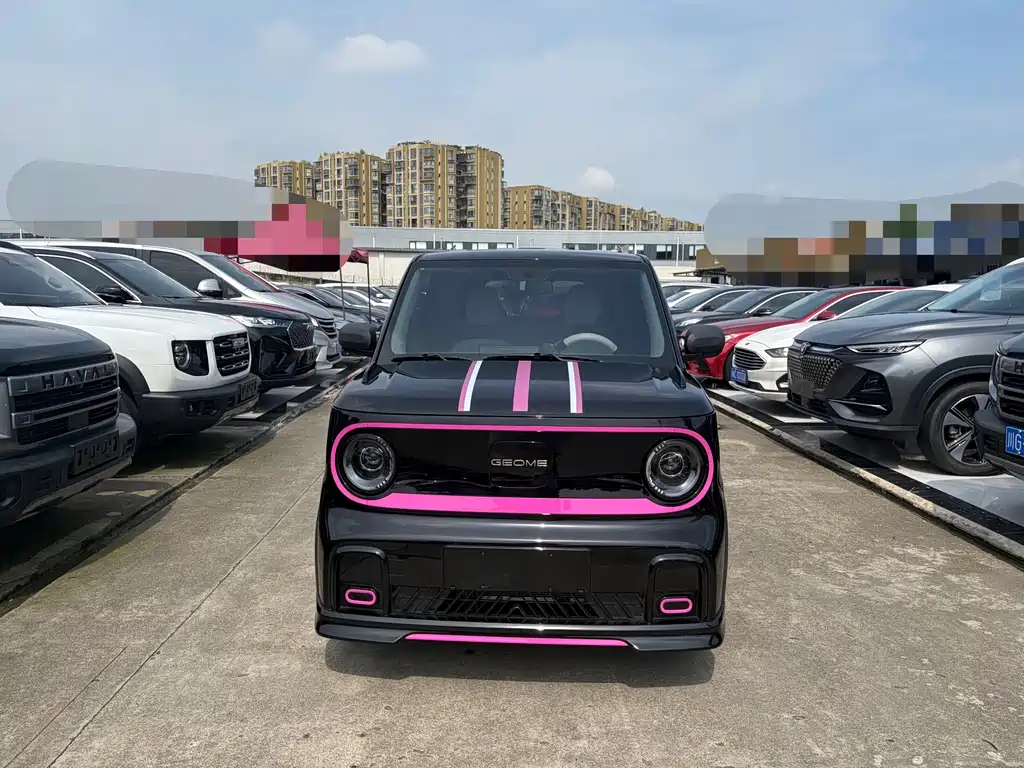 Geely Galaxy Panda 2024