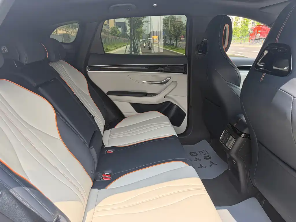 BYD Song PLUS New Energy 2023 — фото 16