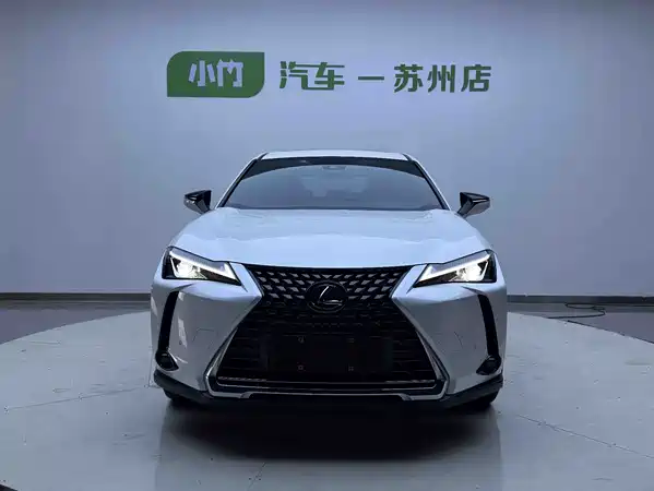 Lexus UX New Energy 2021