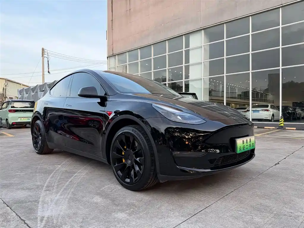 Tesla Model Y 2023 — фото 3