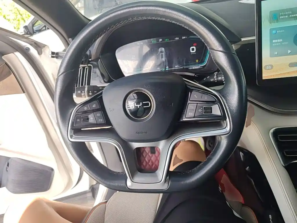 BYD Song PLUS New Energy 2022 — фото 11