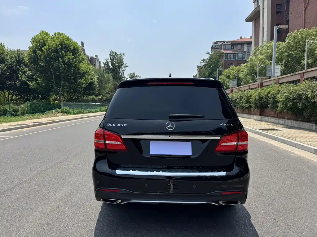 Mercedes-Benz GLS 2018 — фото 11