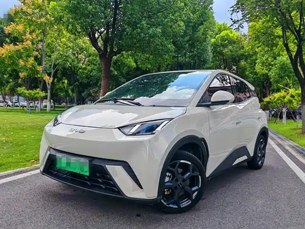 BYD Seagull 2024