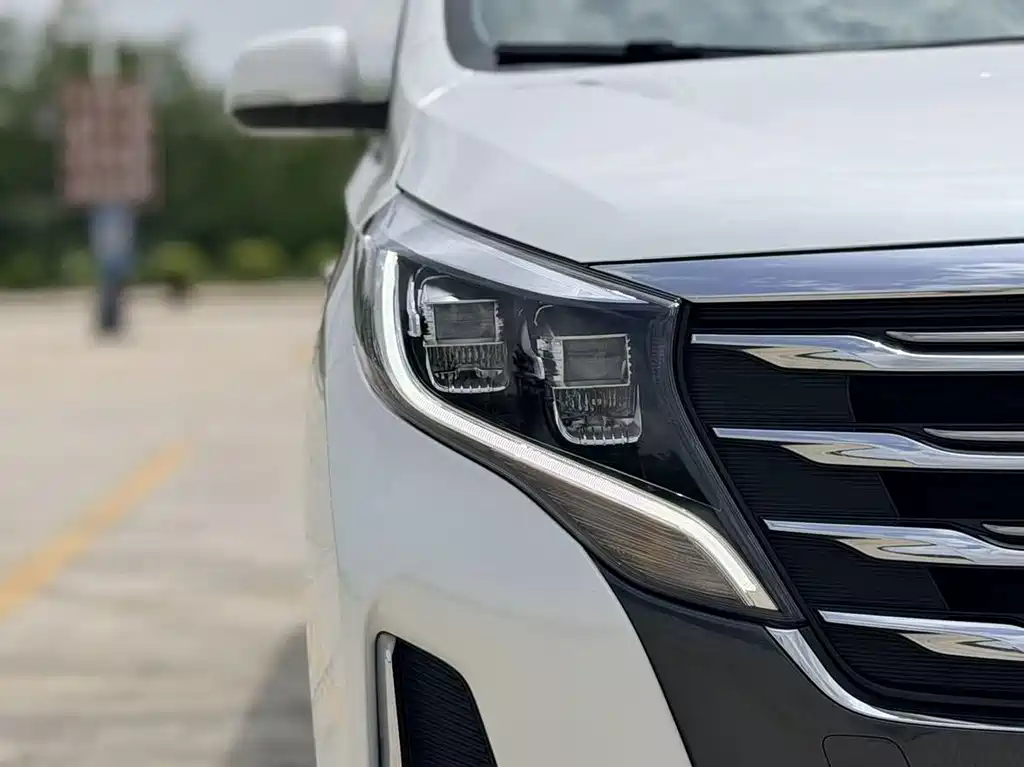 GAC Trumpchi M8 2020 — фото 19