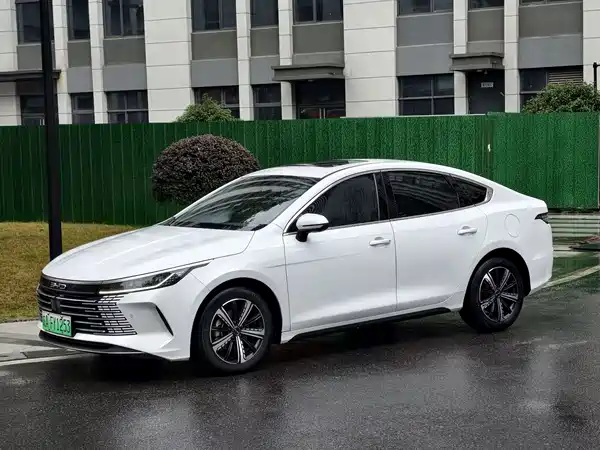 BYD Destroyer 05 2023