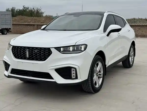 Wey VV5 2020