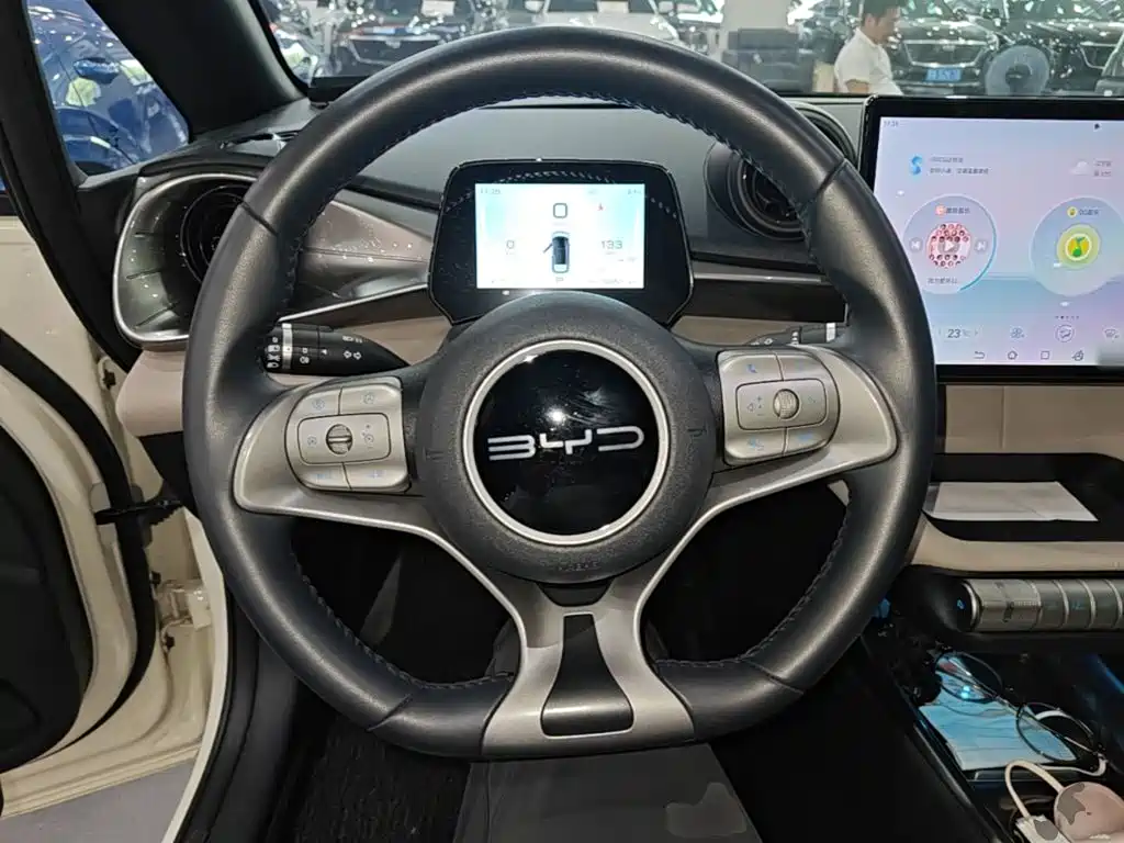 BYD Dolphin 2023 — фото 11