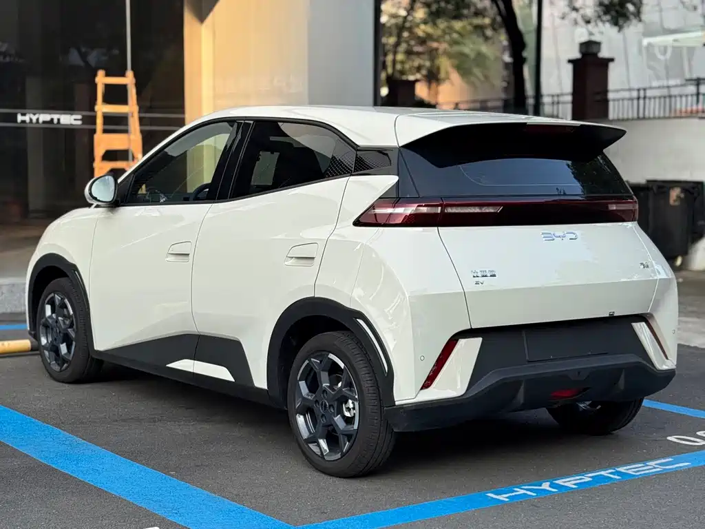 BYD Seagull 2024