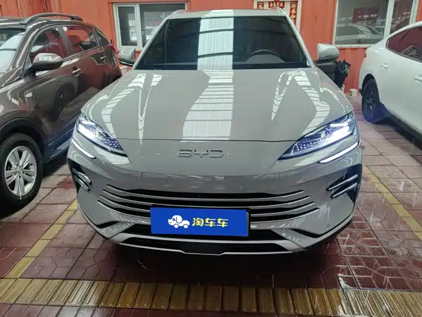 BYD Song PLUS New Energy 2024