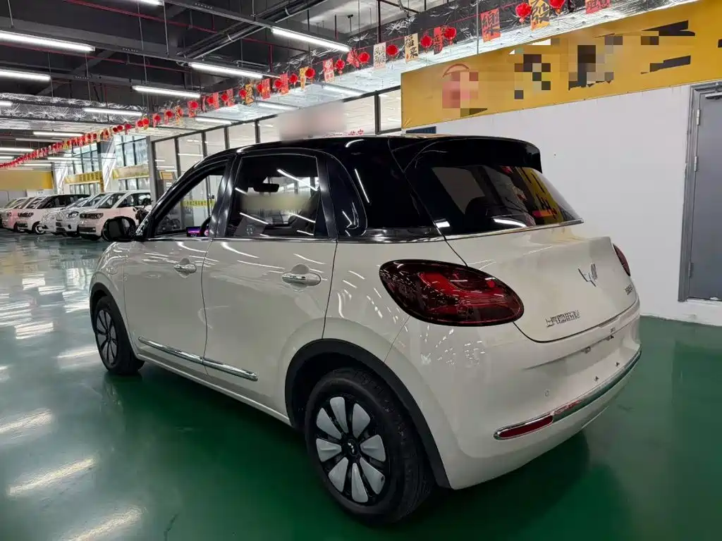 Wuling Bingo 2024