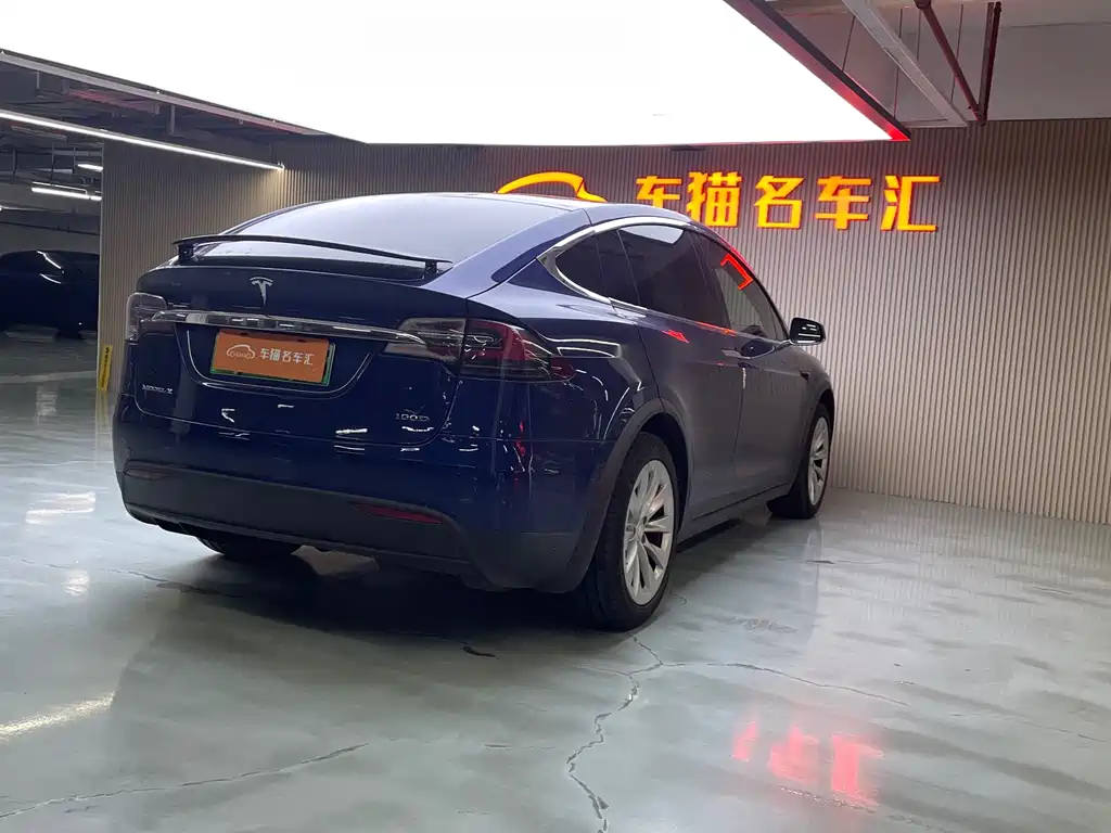 Tesla Model X 2019 — фото 15