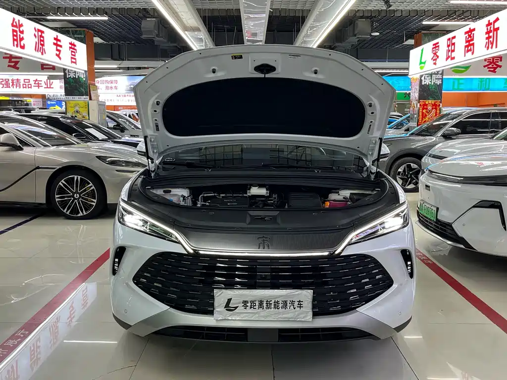 BYD Song L DM-i 2025 — фото 17