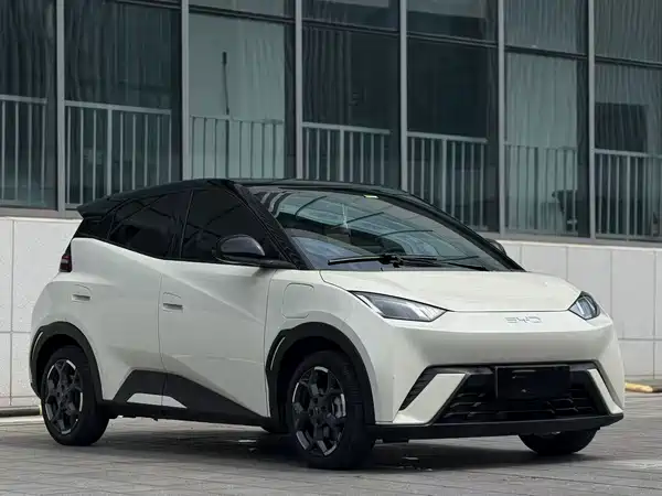 BYD Seagull 2024