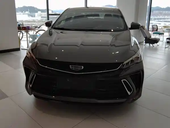 Geely Binrui 2022