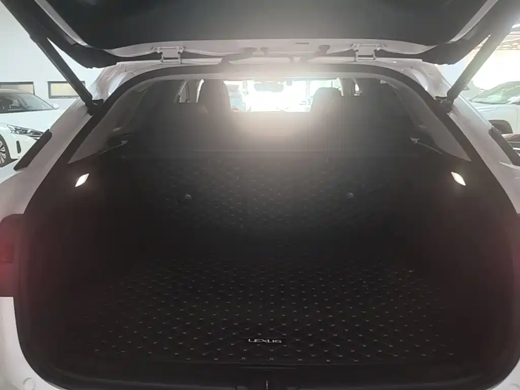 Lexus RX 2022 — фото 19