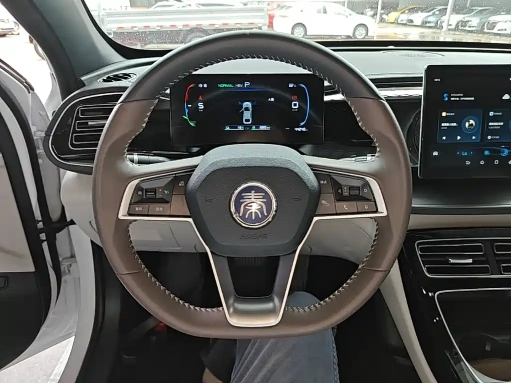 BYD Qin PLUS 2024 — фото 11