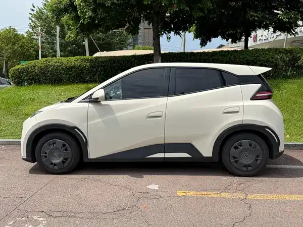 BYD Seagull 2024