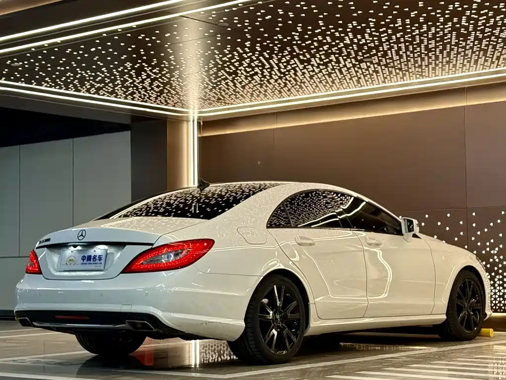 Mercedes-Benz CLS 2014 — фото 28
