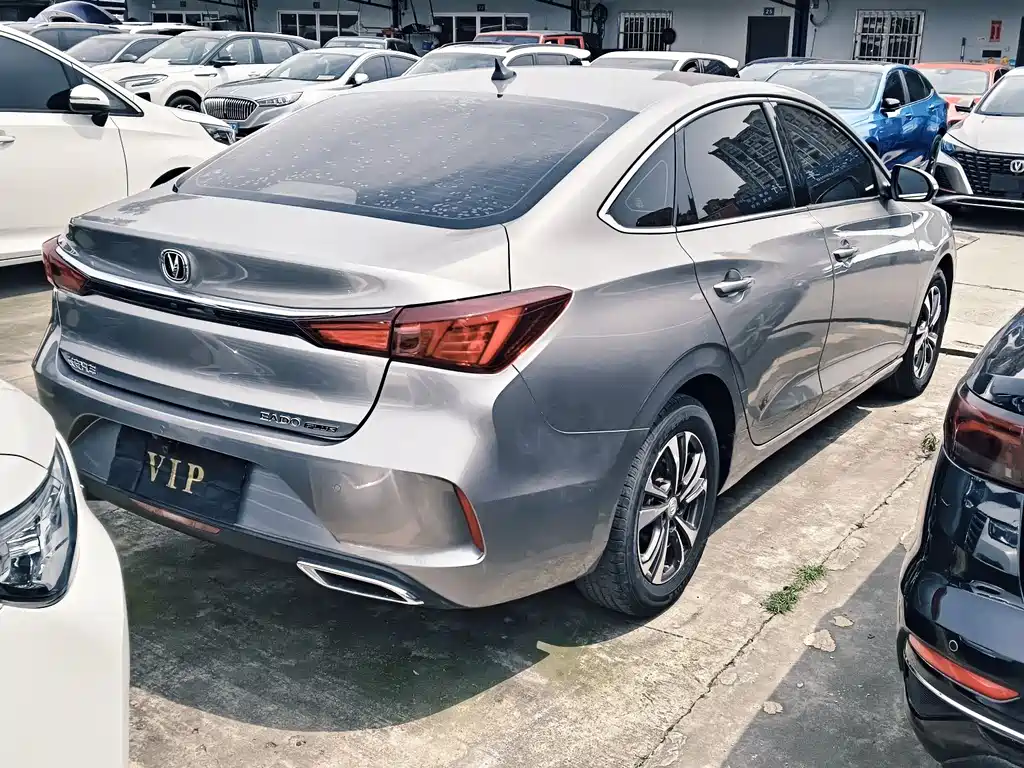Changan Eado 2020 — фото 15