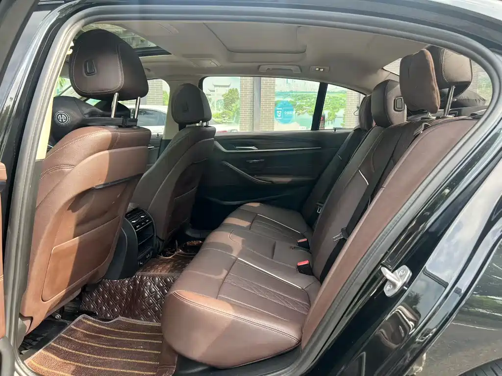 BMW 5 Series New Energy 2021