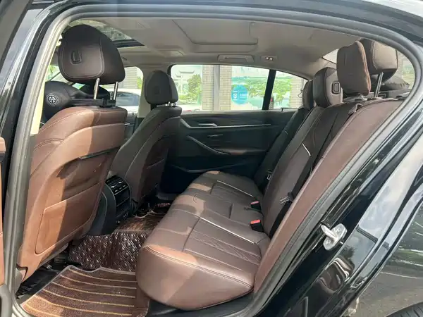 BMW 5 Series New Energy 2021