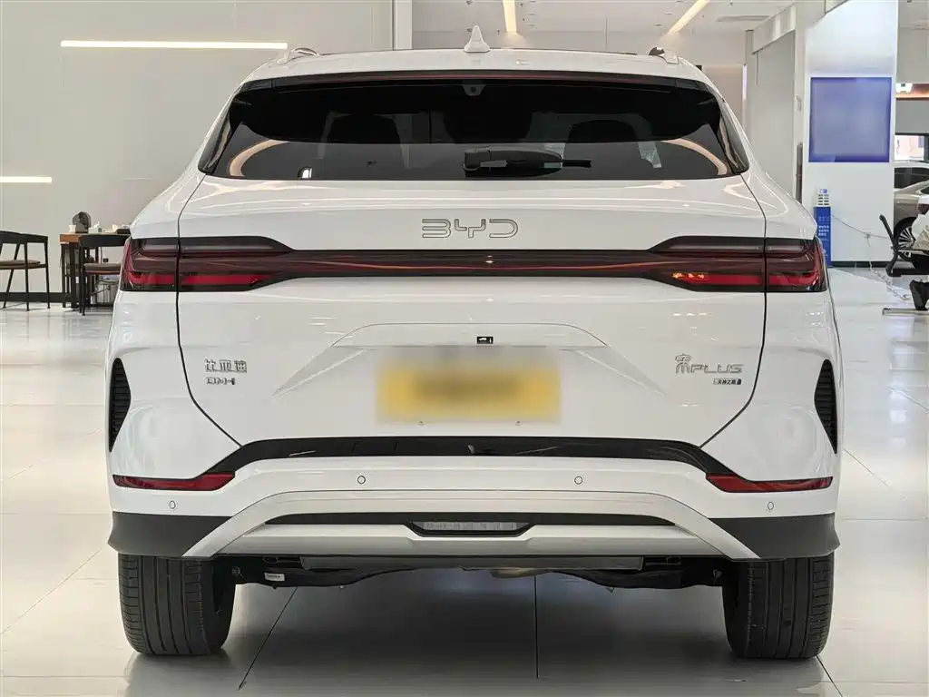 BYD PLUS New Energy 2025 — фото 14