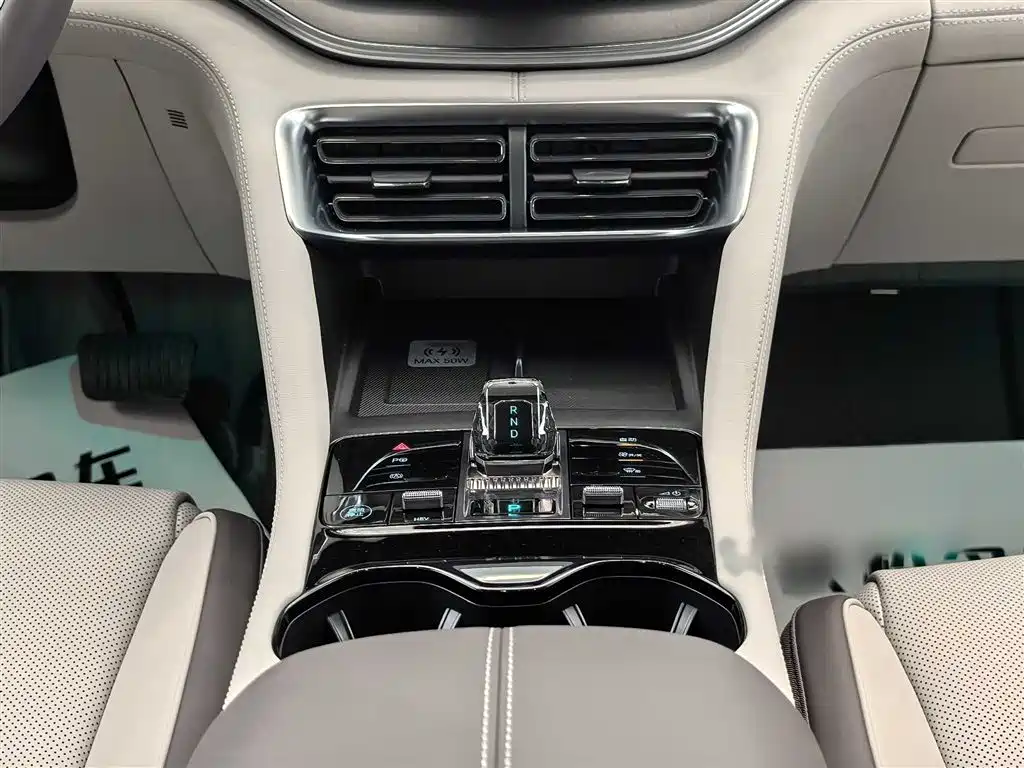 BYD PLUS New Energy 2025 — фото 21