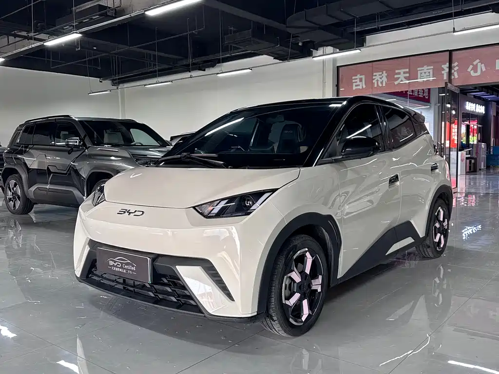 BYD Seagull 2024 — фото 1