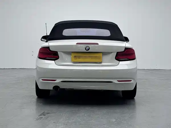 BMW 2 Series 2019