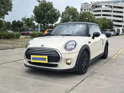 MINI MINI 2017