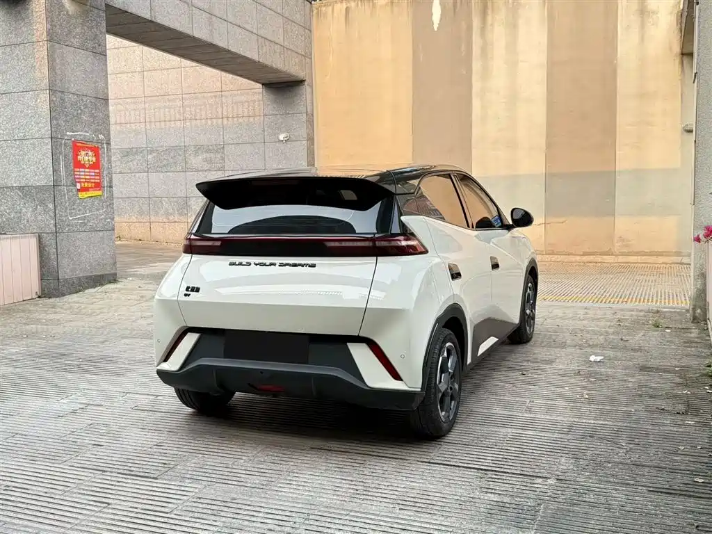 BYD Seagull 2024