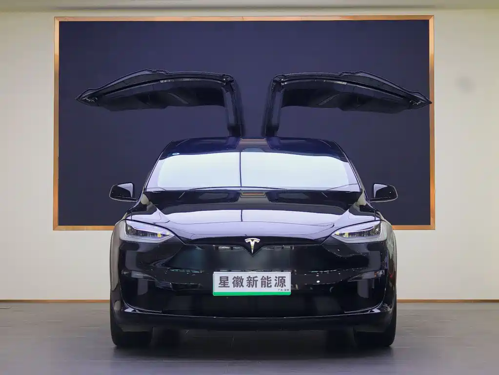 Tesla Model X 2023 — фото 2