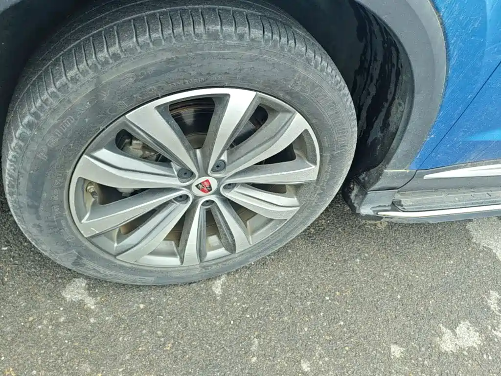 Roewe RX5 MAX 2020 — фото 23